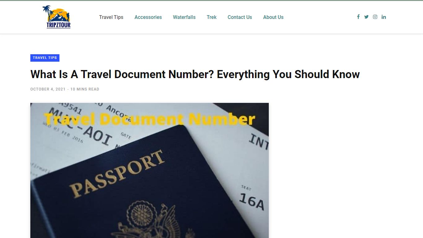 What Is A Travel Document Number? Everything You Should Know